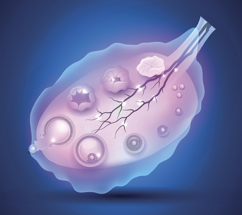 石家庄鲜胚移植与试管婴儿医院前三强选择指南：技术、与本地口碑深度解析